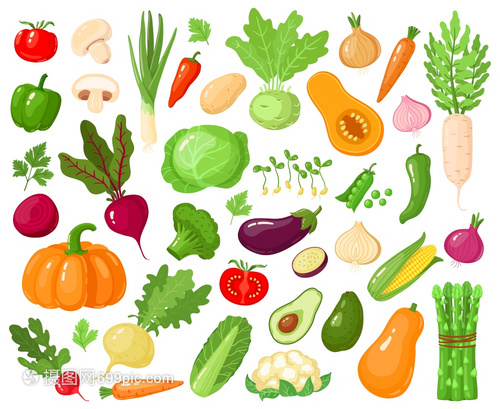 卡通蔬菜维加食品番茄南瓜青和胡萝卜素新鲜生蔬菜矢量图示标蔬菜和胡萝卜南瓜蔬菜和胡萝卜素新鲜蔬菜矢量图示标素新鲜蔬菜矢量图示标