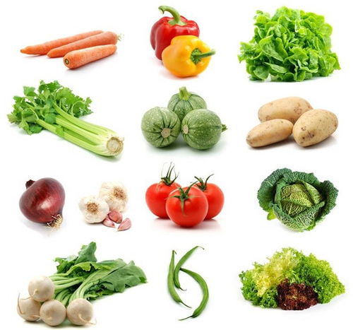 西安蔬菜配送 文博蔬菜配送 在线咨询 蔬菜配送